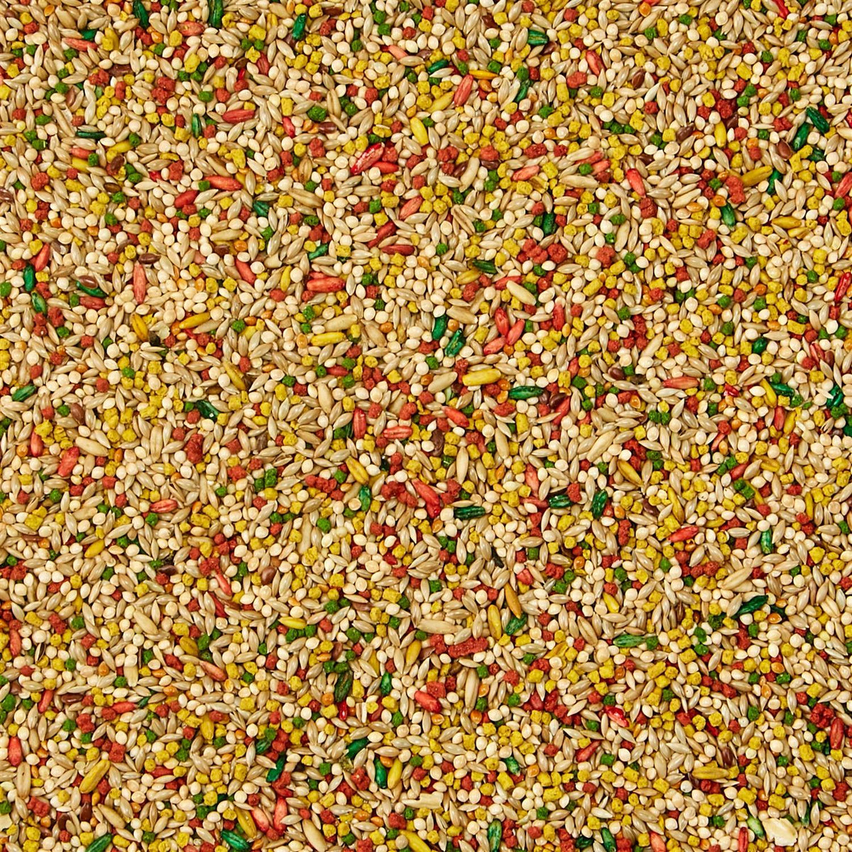 Parakeet Food M6876