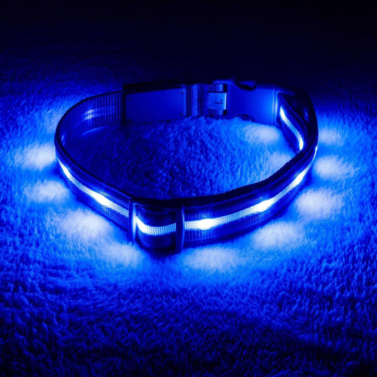 LED Light Up Dog Collar U12587