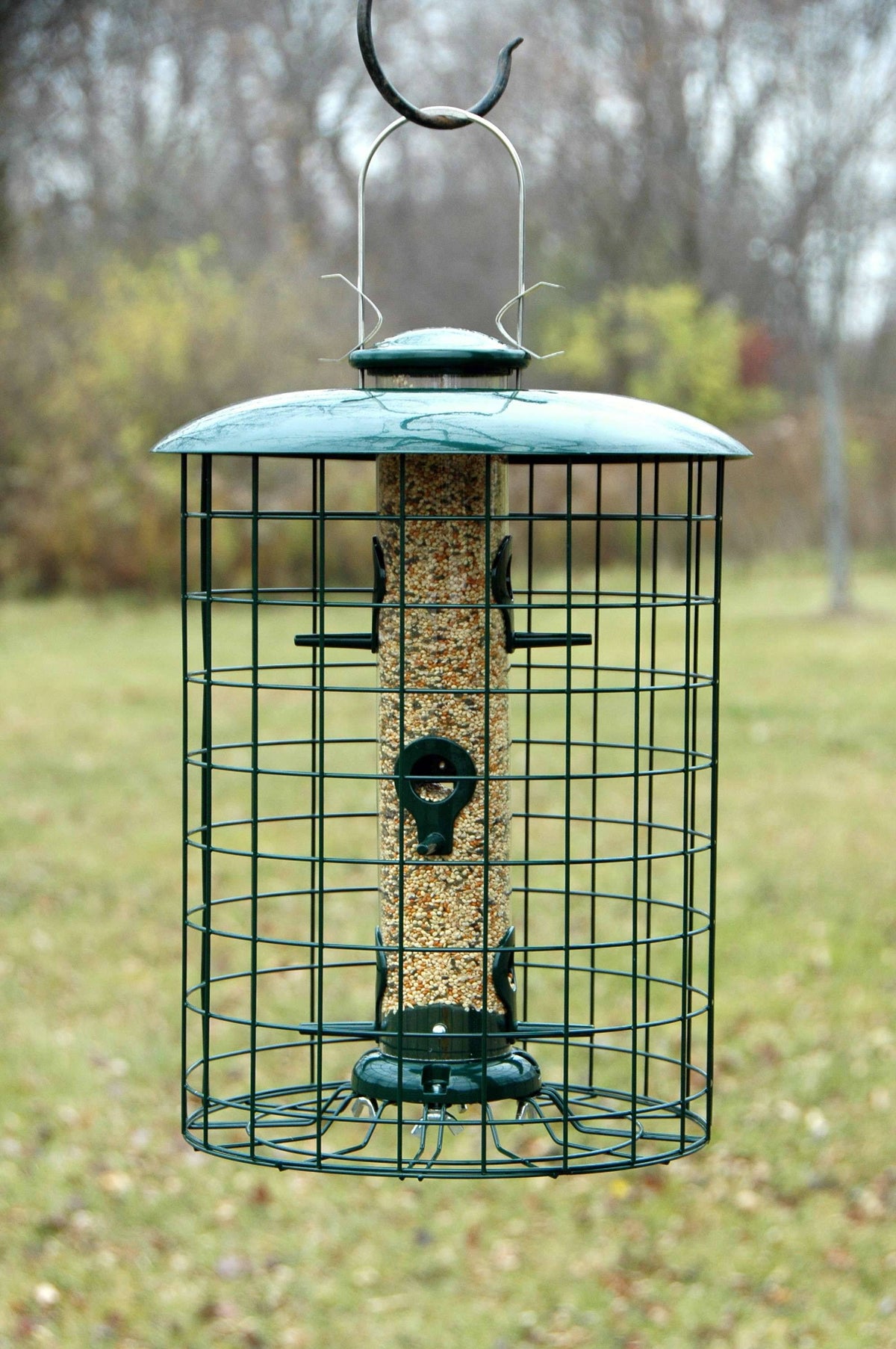Caged 6 Port Seed Tube Feeder C57835