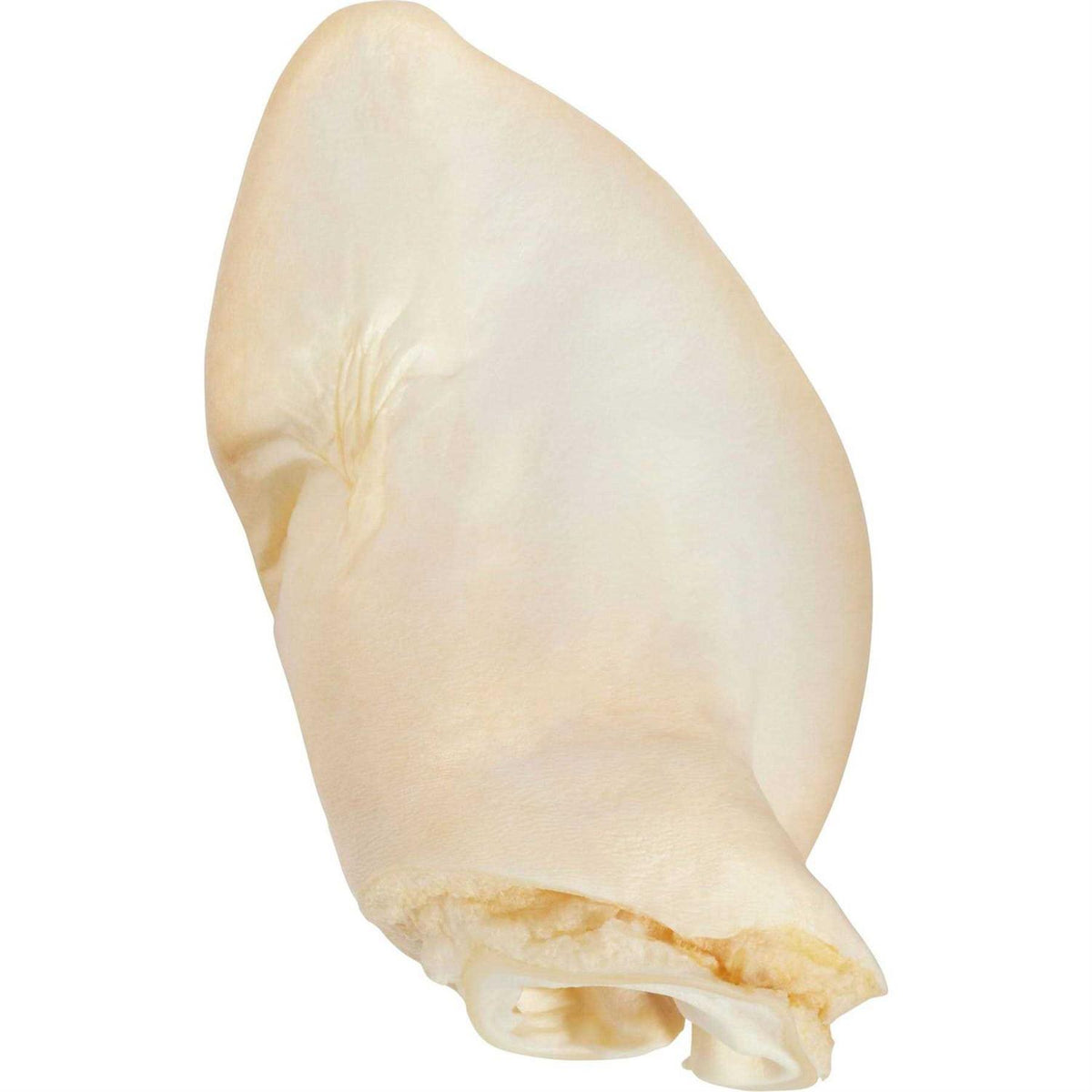 Cow Ears N92931