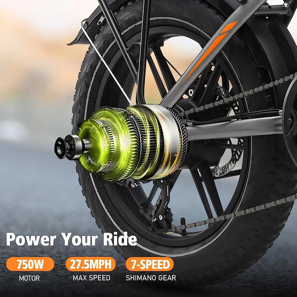 Folding Electric Bike 750W 48V 20inch Black L460