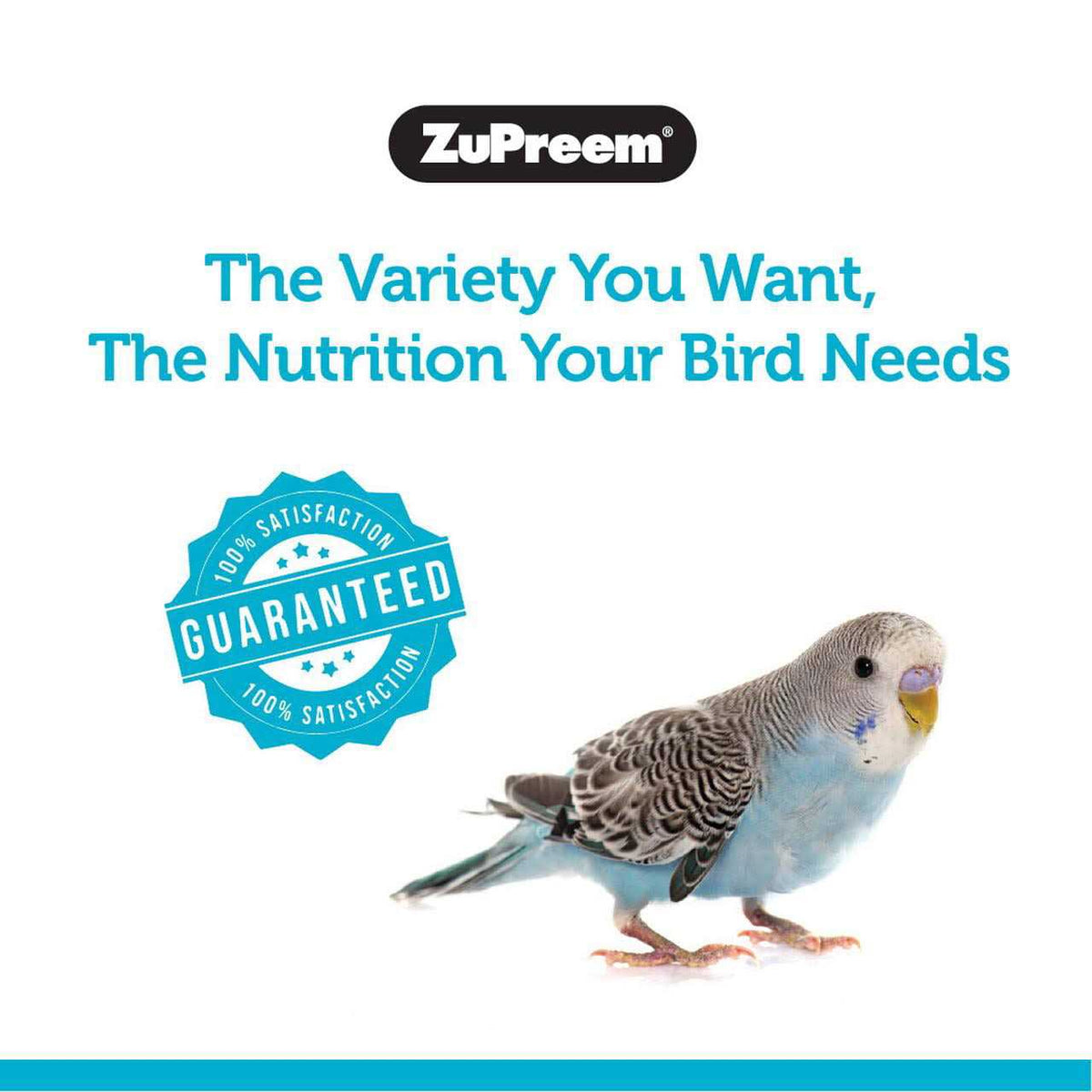Sensible Seed Bird Food W310963