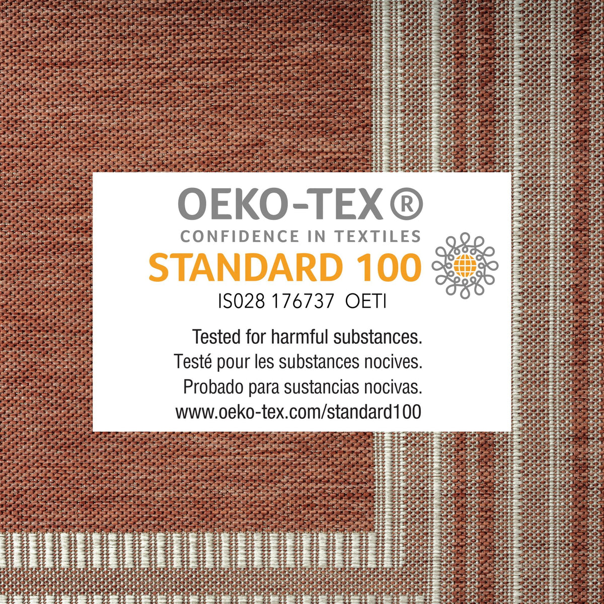 Terracotta Ivory Indoor Outdoor Area Rug 7'9"x10'2" A381