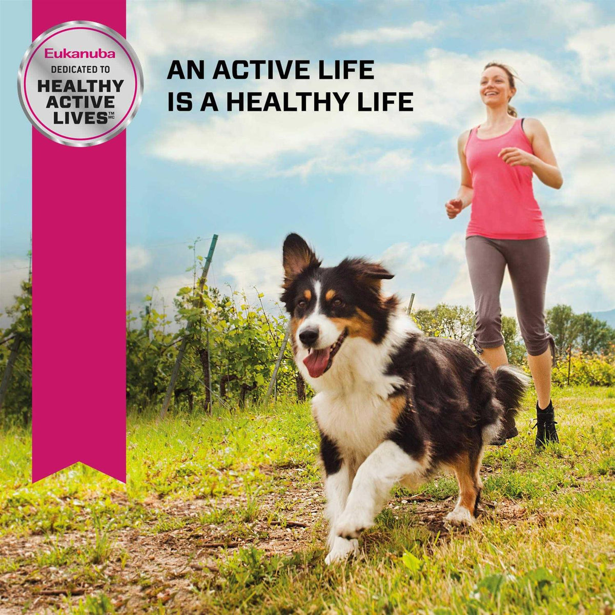 Senior Dry Dog Food K23681