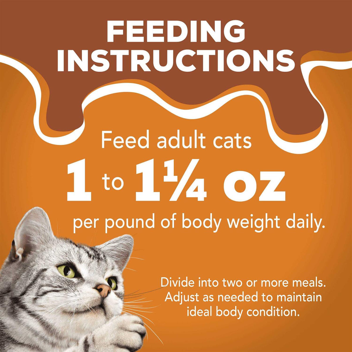 Wet Cat Food Variety Pack S9816