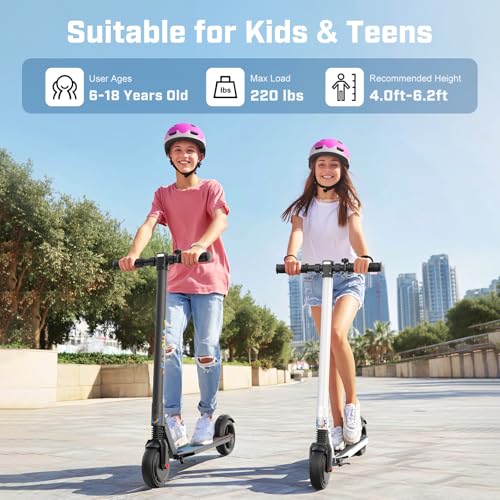 250W Motor 15 Mph Foldable Electric Scooter R94287