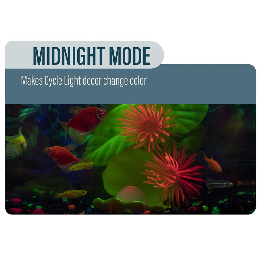 Aquarium Kit C800466
