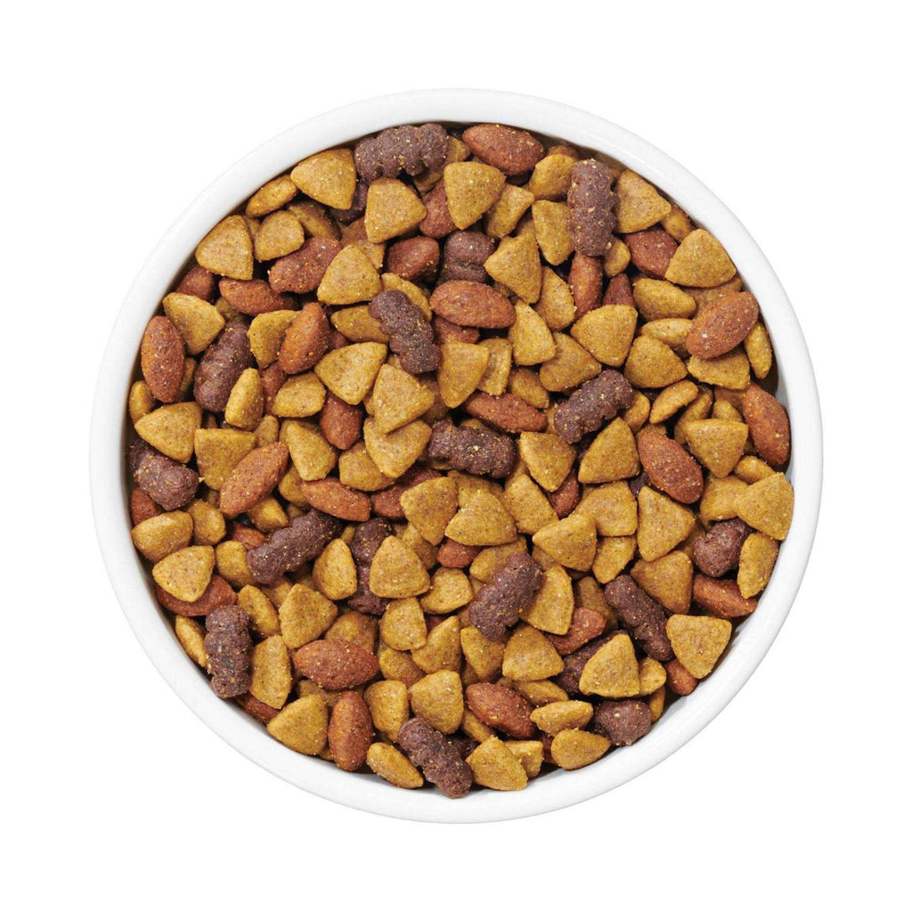 Complete Adult Dry Dog Food J769