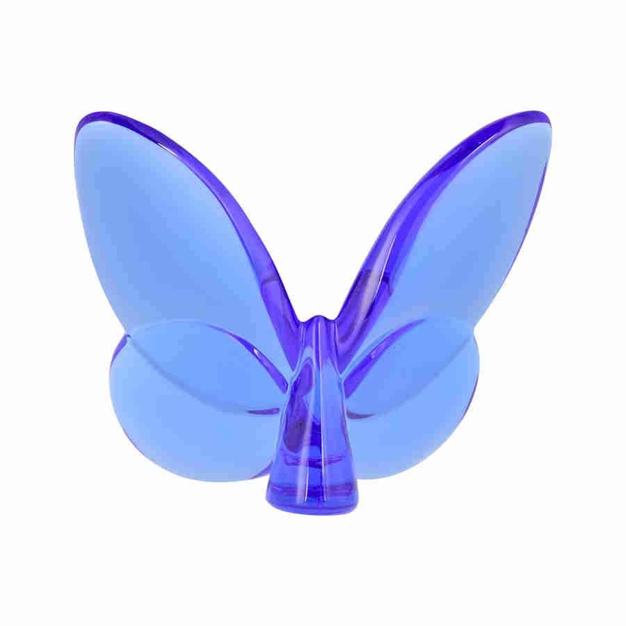 Blue Butterfly V431131