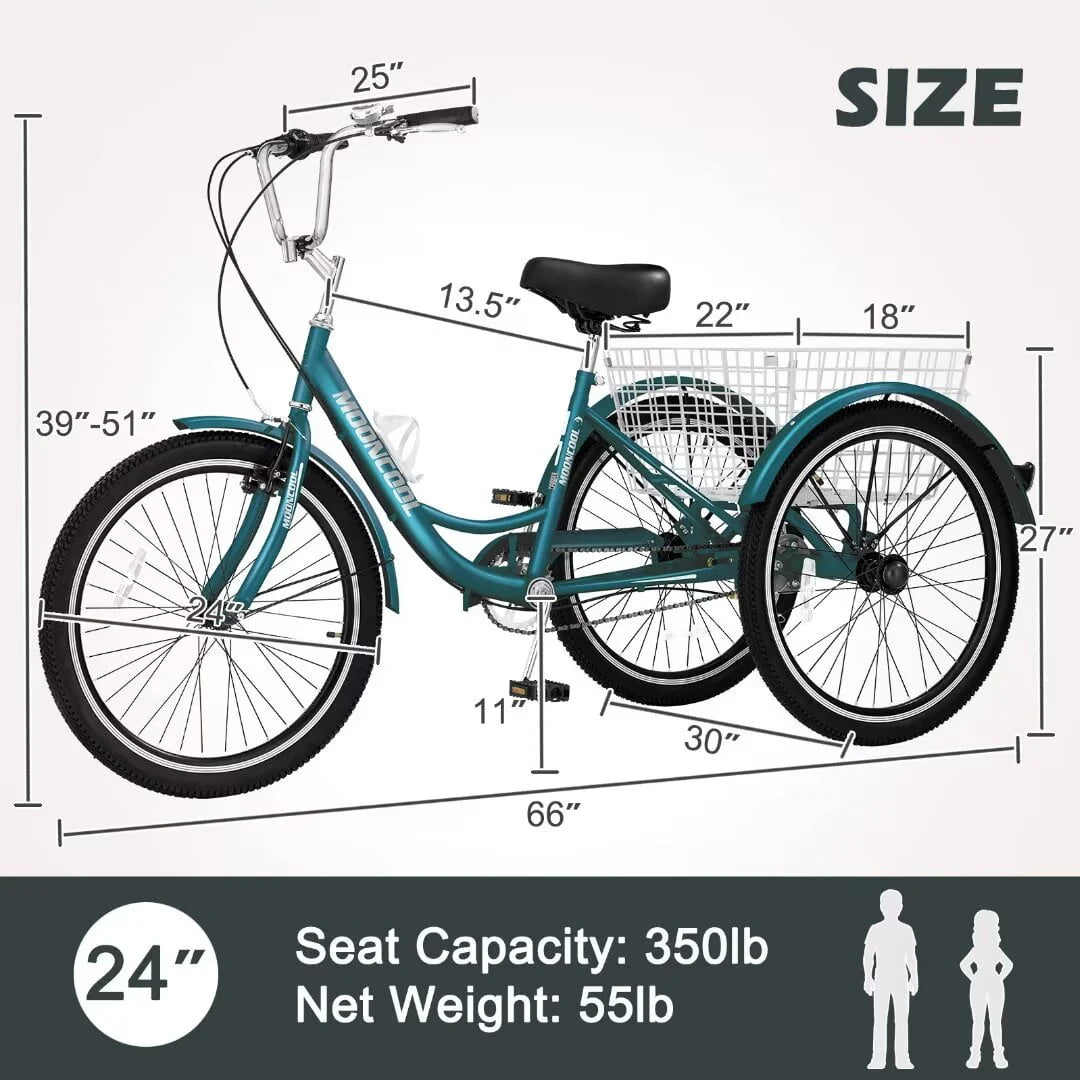 24 Inch 1 Speed Adult Tricycle B82955