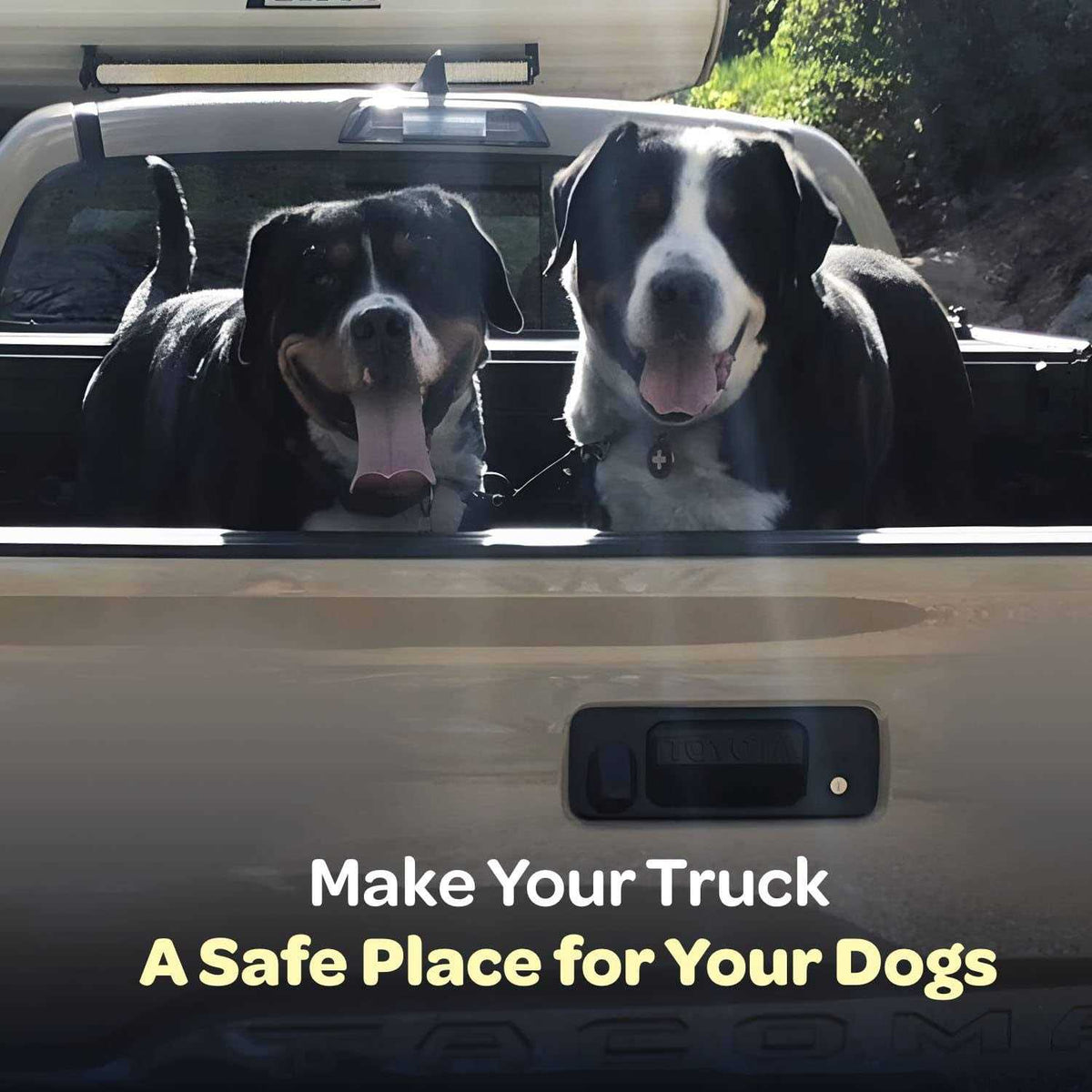 Dog Truck Bed Leash Tether A4437
