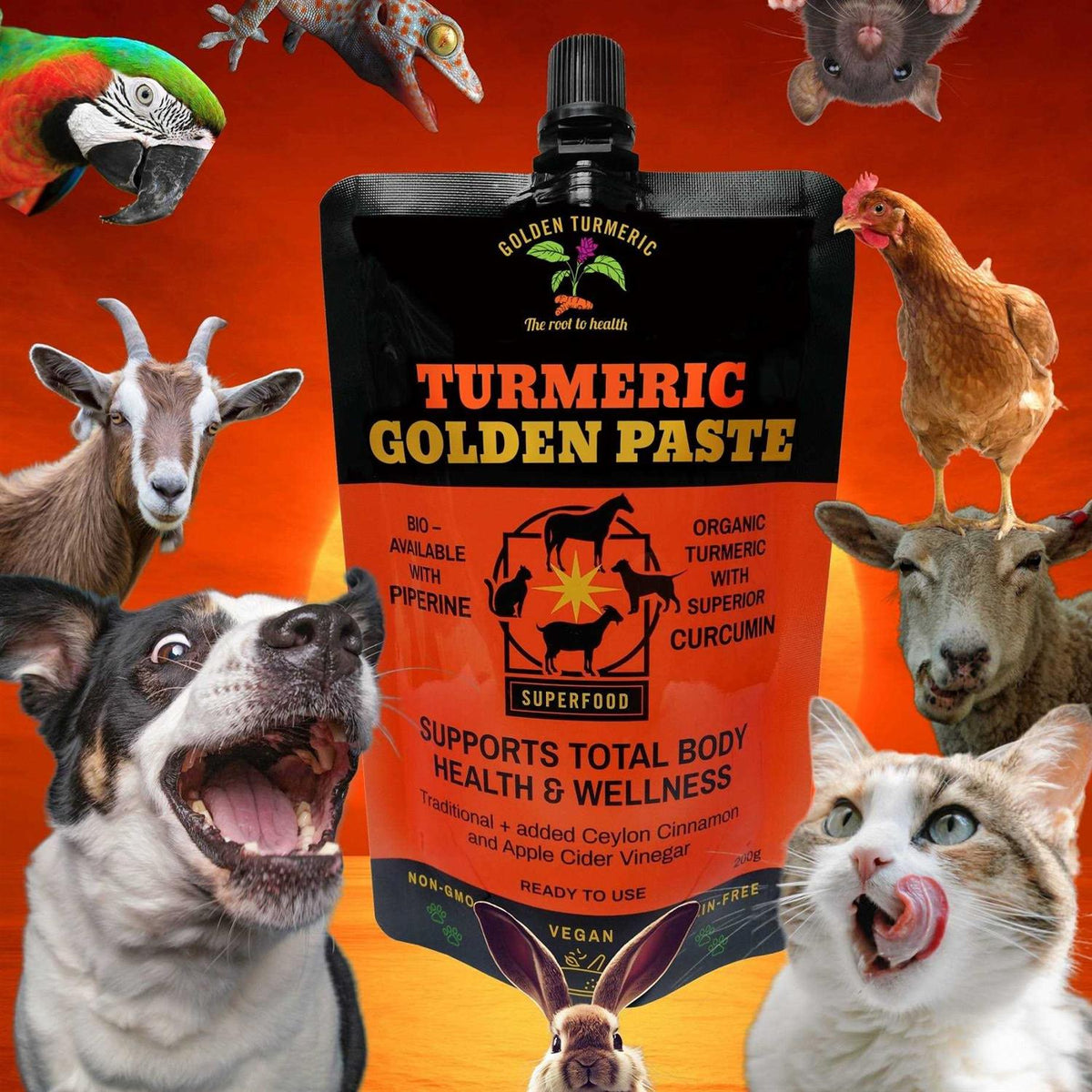 Turmeric Golden Paste for Pets 7 OZ A475864