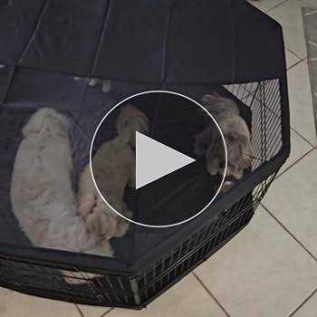 Foldable Metal Dog Playpen with Top Cover and Bottom Pad Q705926