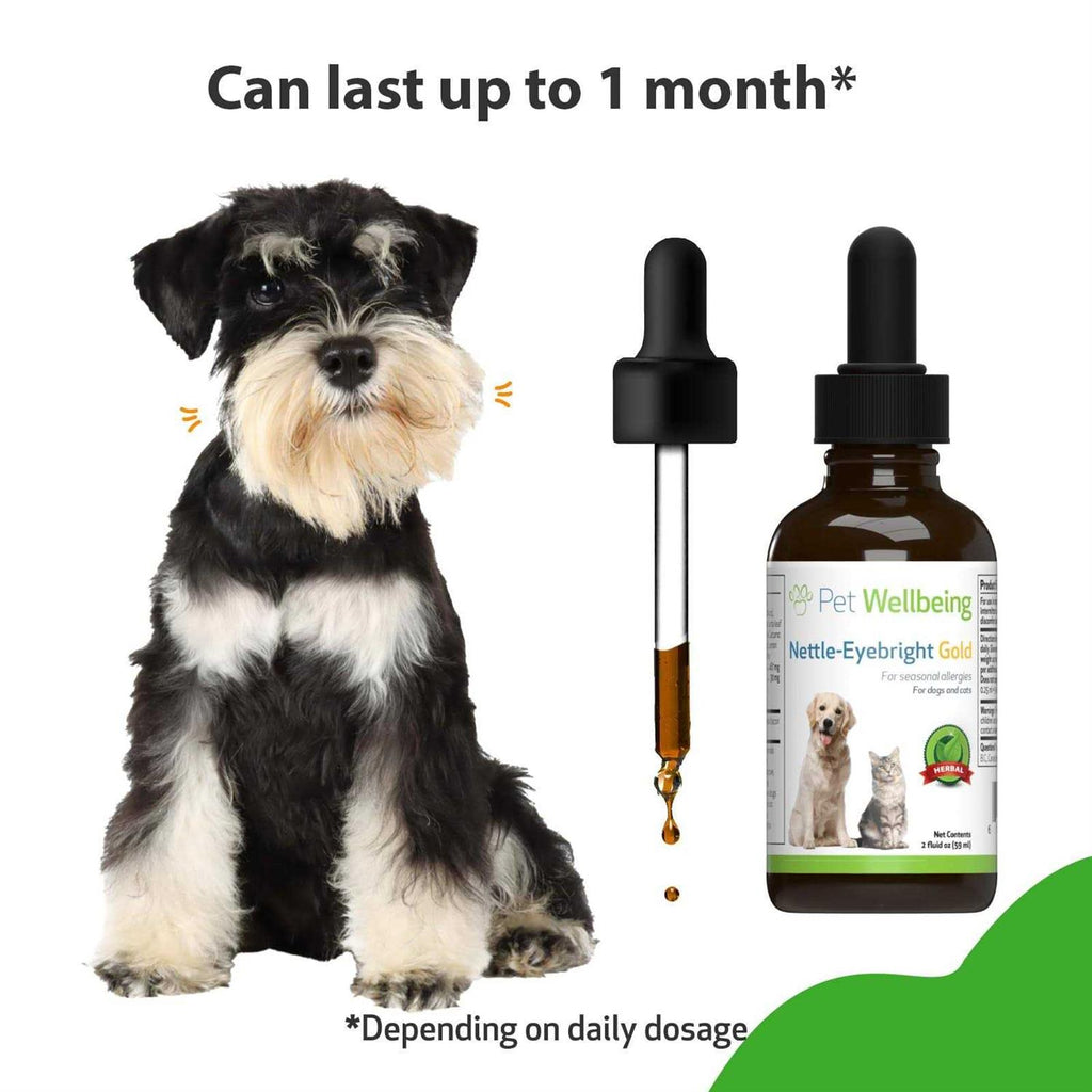 Nettle Eyebright for Dogs U225458