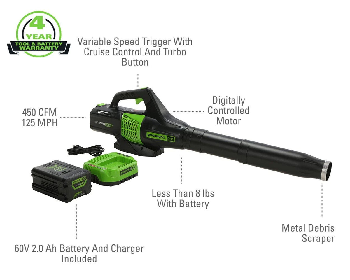 60V Cordless Leaf Blower with 2.0Ah Battery & Charger W2277