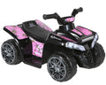 6-Volt Kids Ride-on H528