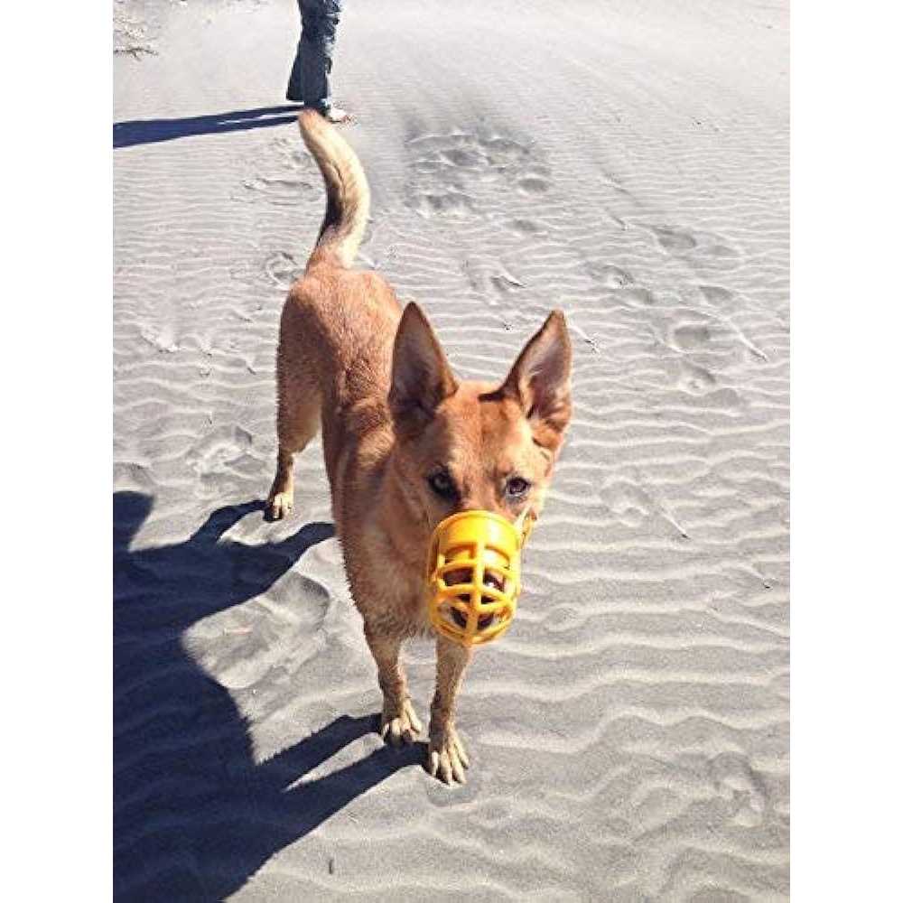 Plastic Dog Muzzle with Adjustable Nylon Headstall K882