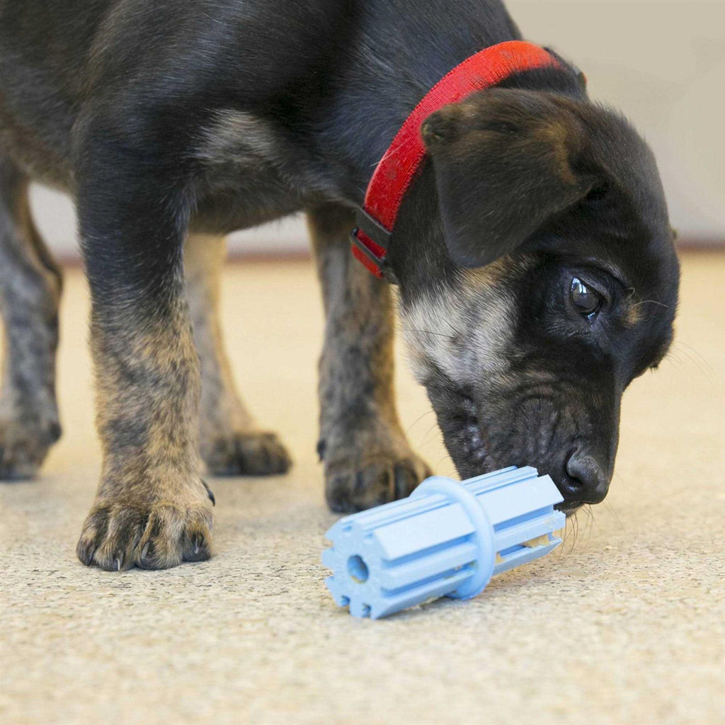 Dog Toy Puppy Teething Stick S4885