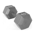 25lb Cast Iron Hex Dumbbell O69756