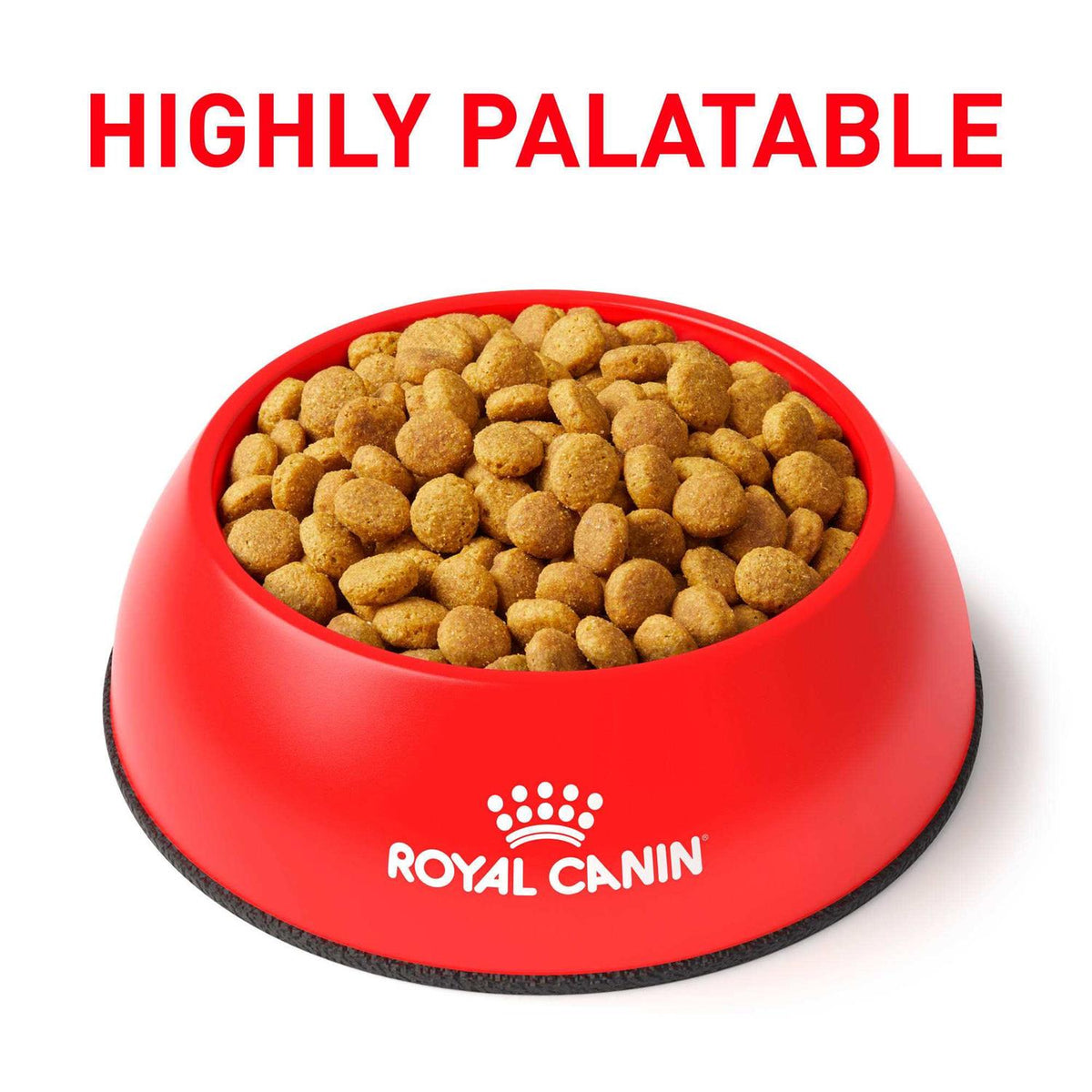 Veterinary Diet Cat Food Q623