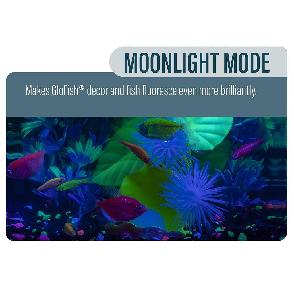 Aquarium Kit C800466