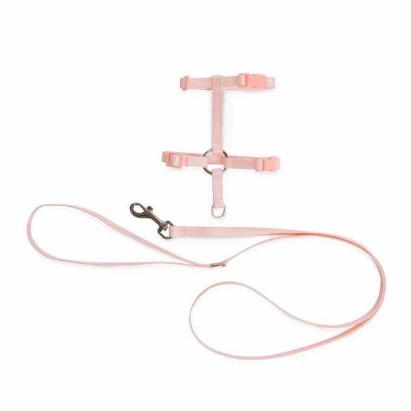 Kitten Harness & Leash Set D47194