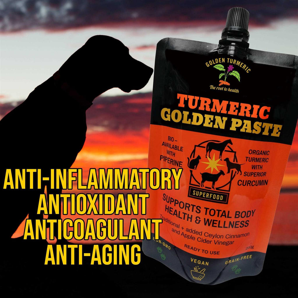 Turmeric Golden Paste for Pets 7 OZ A475864