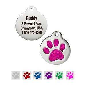 Stainless Steel Personalized Dog & Cat ID Tag F420