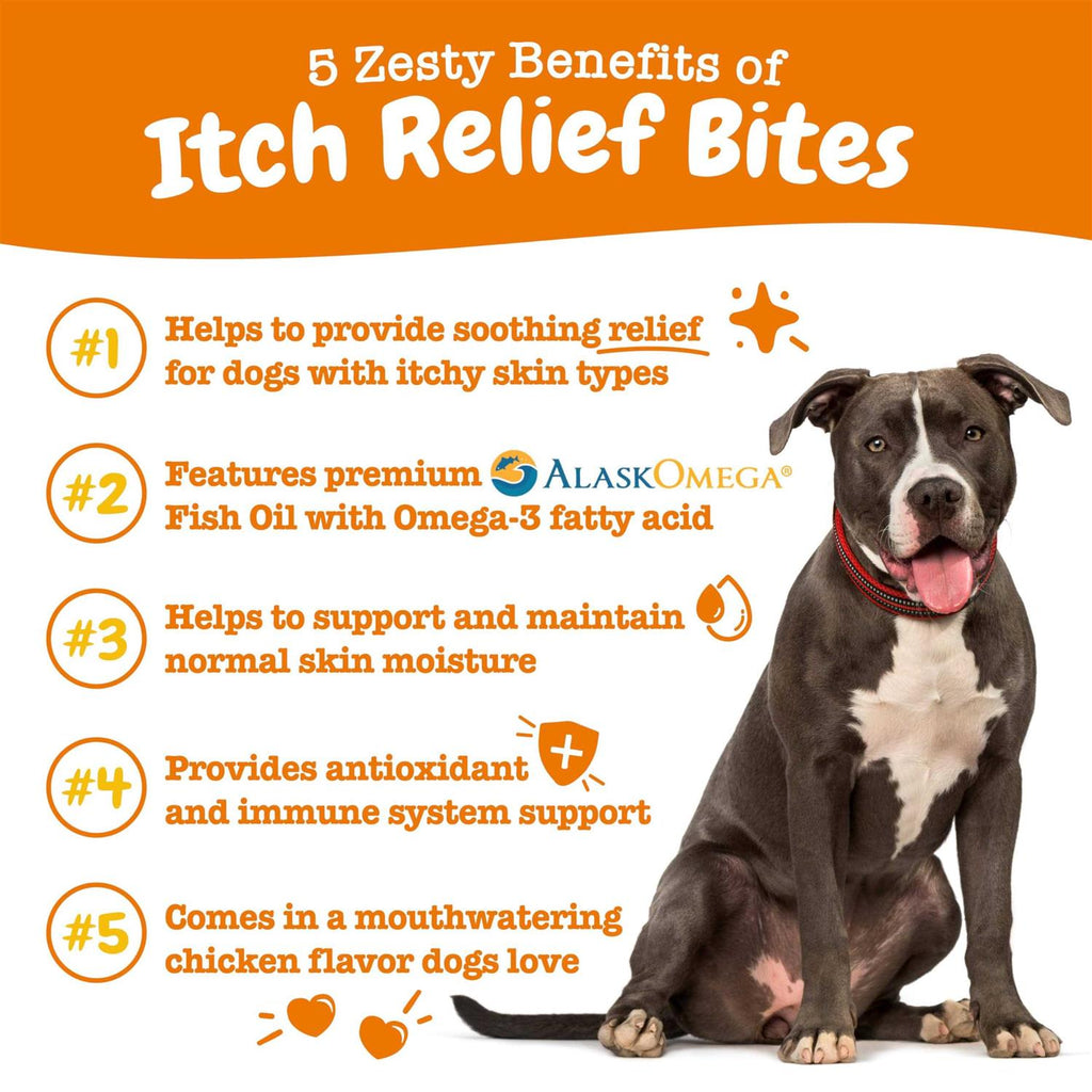 Chicken Flavored Soft Chews Supplement for Dogs M3892