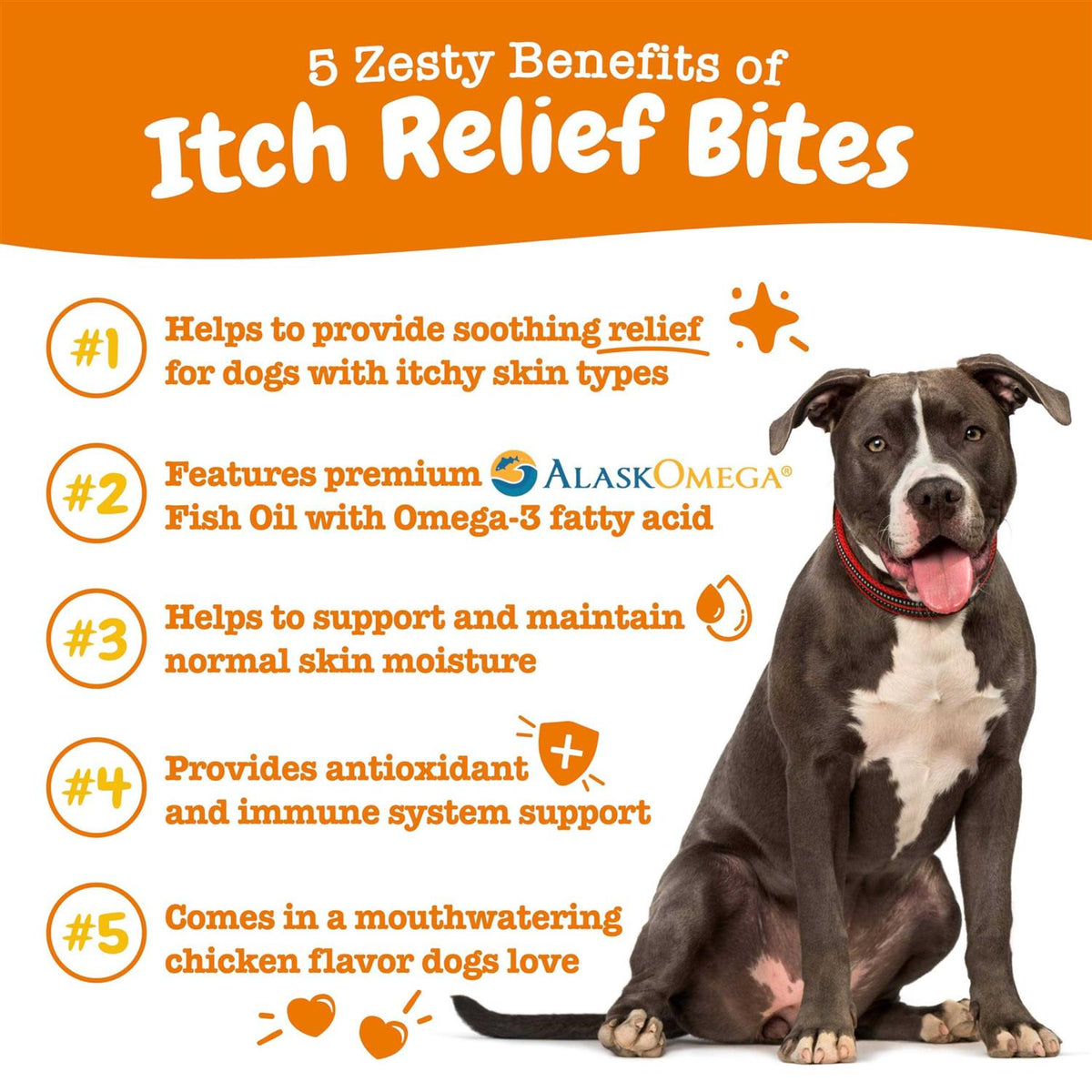 Chicken Flavored Soft Chews Supplement for Dogs M3892