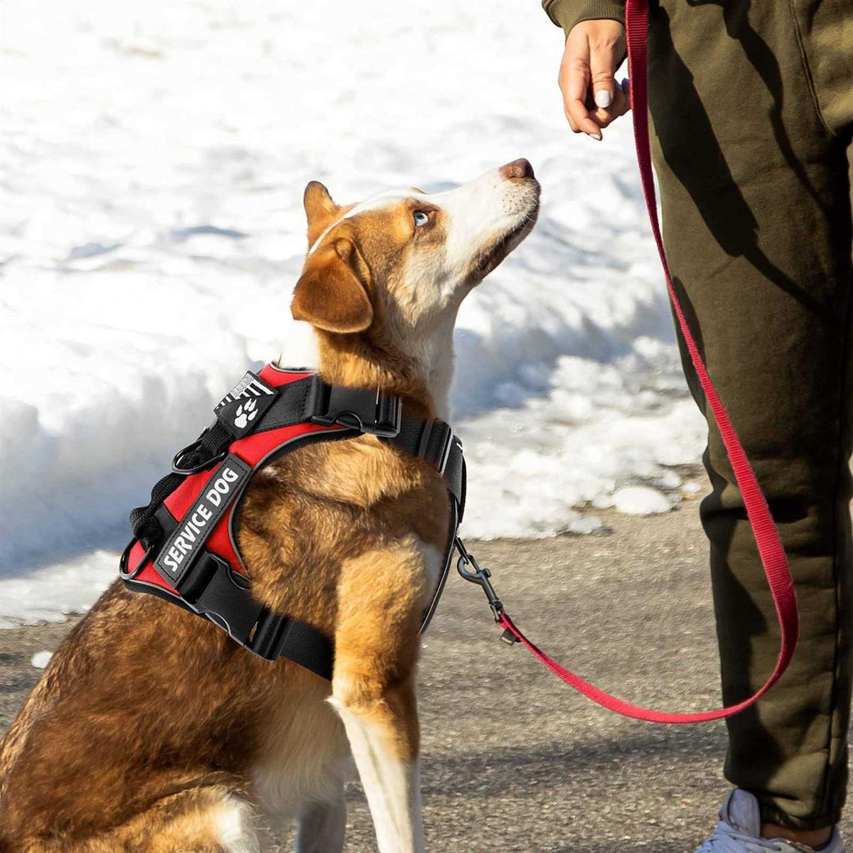 Reflective Dog Vest Harness with 5 PCS Patches N548284