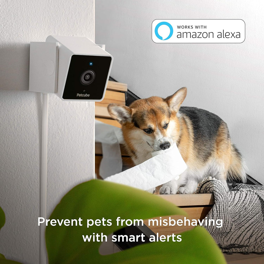 2 Pack Pet Monitoring Camera with Night Vision and Two-Way Audio H950751