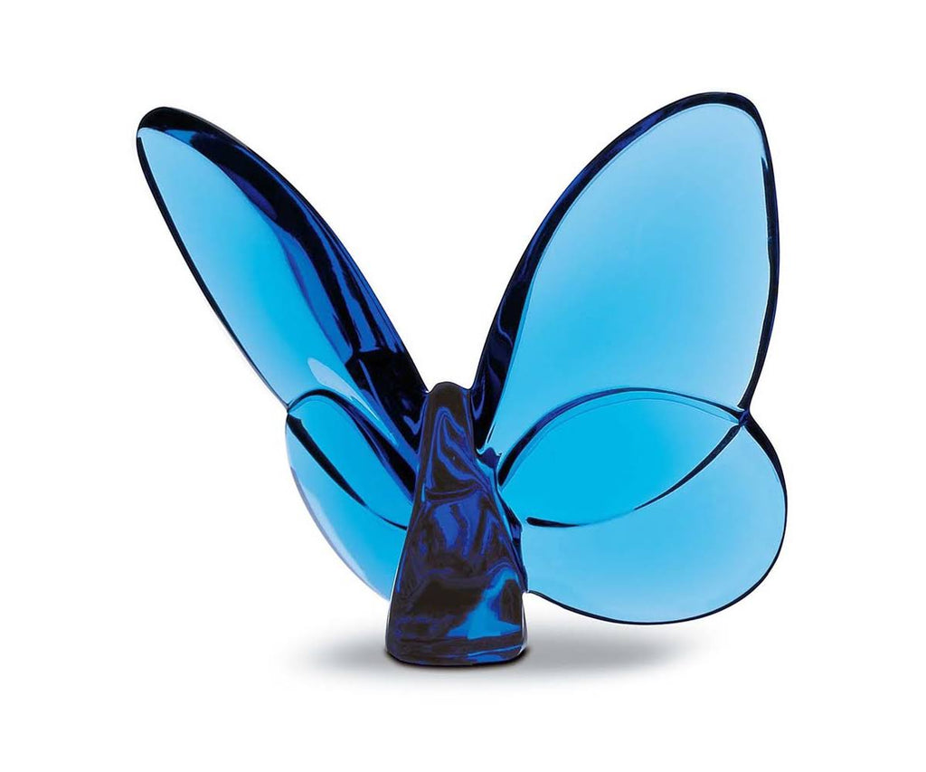 Blue Butterfly V431131