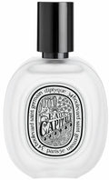 Hair Mist 1 oz. L61333