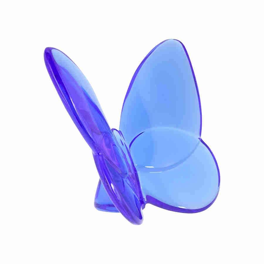 Blue Butterfly V431131