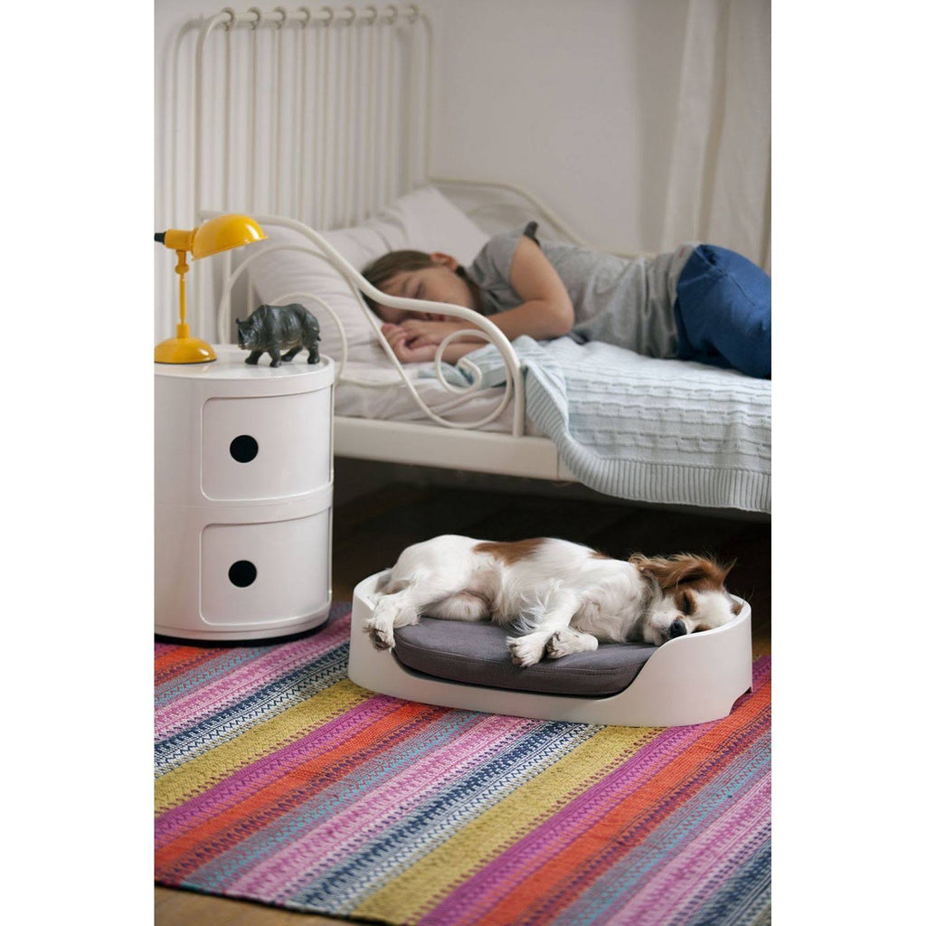 Bunk Bed/Pet Carrier/Travel Crate 3-in-1 R5226