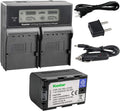 LCD Dual Smart Fast Charger & Battery for Camcorders T3160