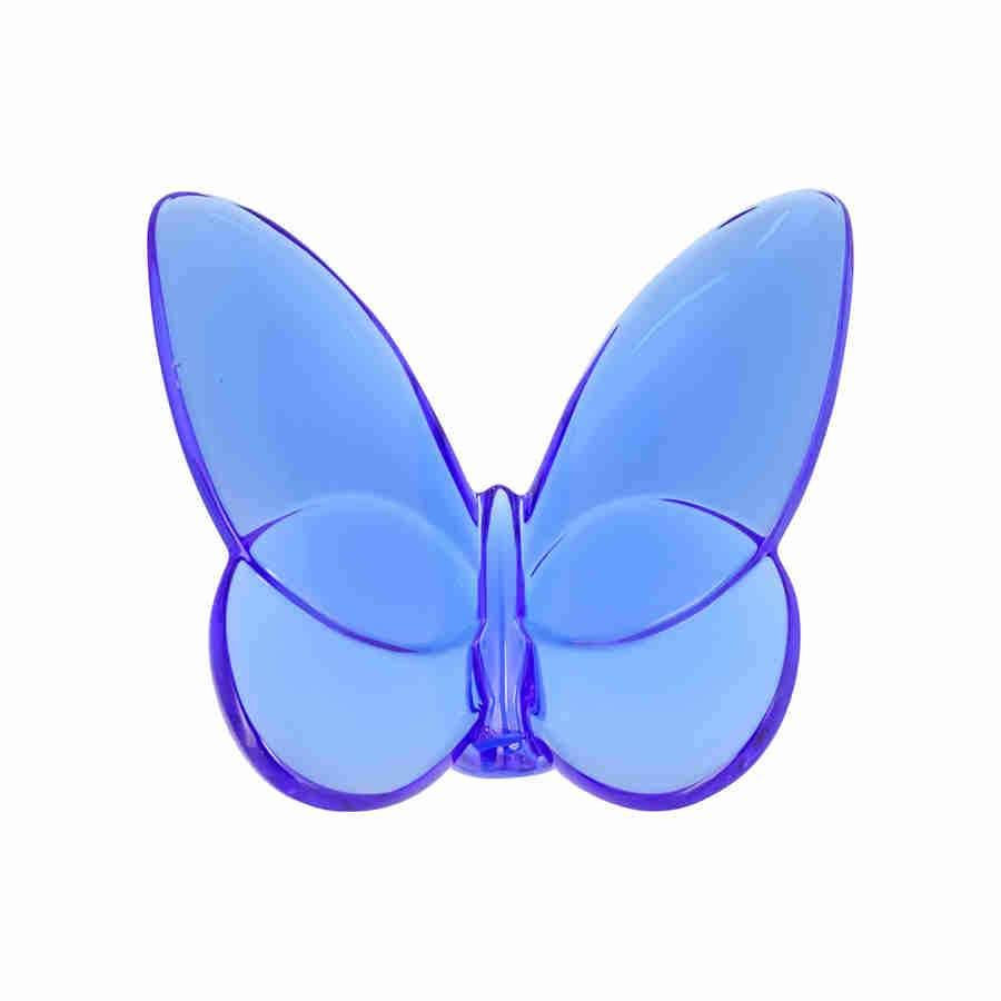Blue Butterfly V431131