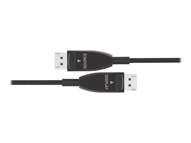 DisplayPort Cable 49 ft Z2898