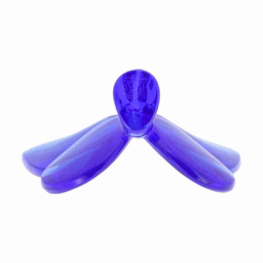 Blue Butterfly V431131