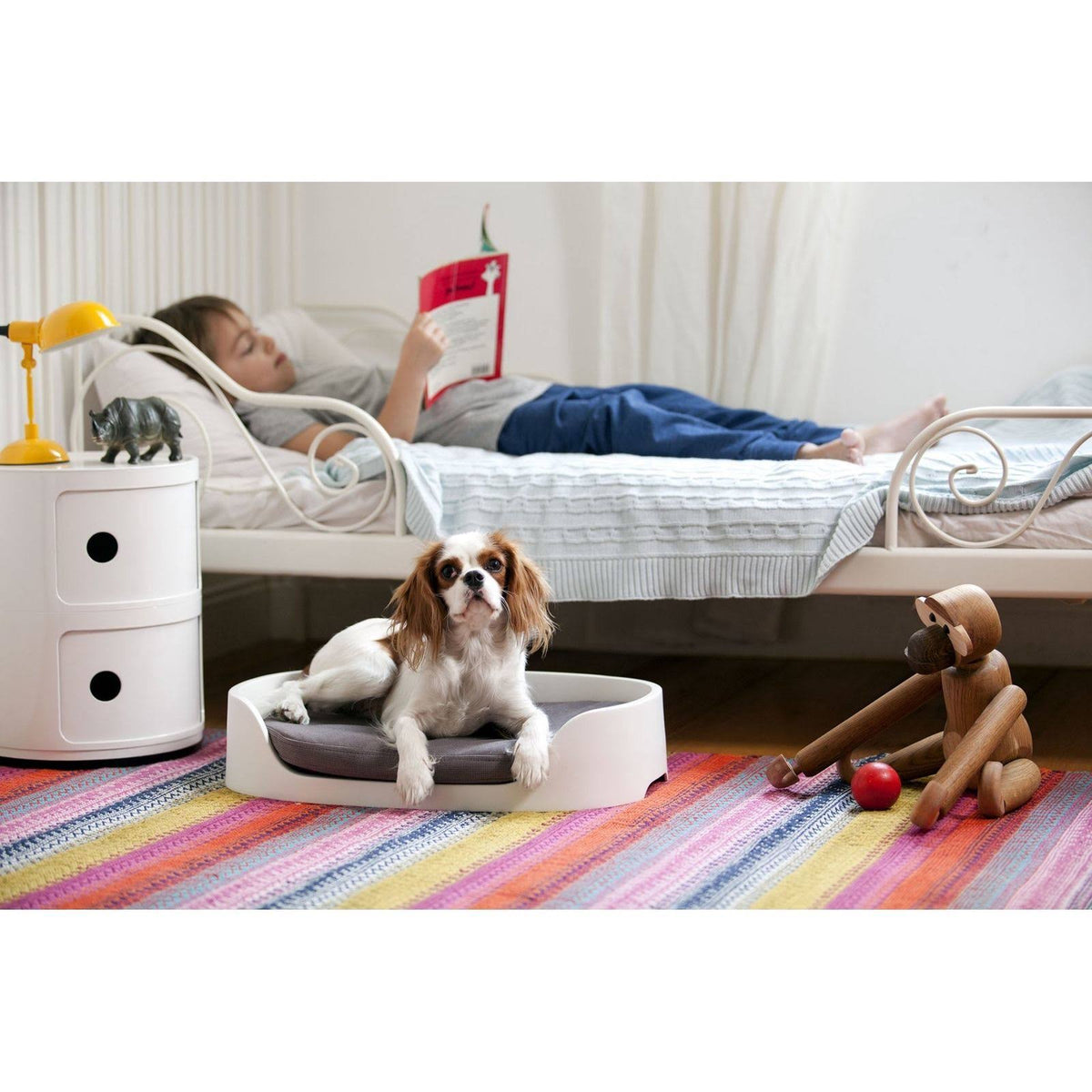 Bunk Bed/Pet Carrier/Travel Crate 3-in-1 R5226