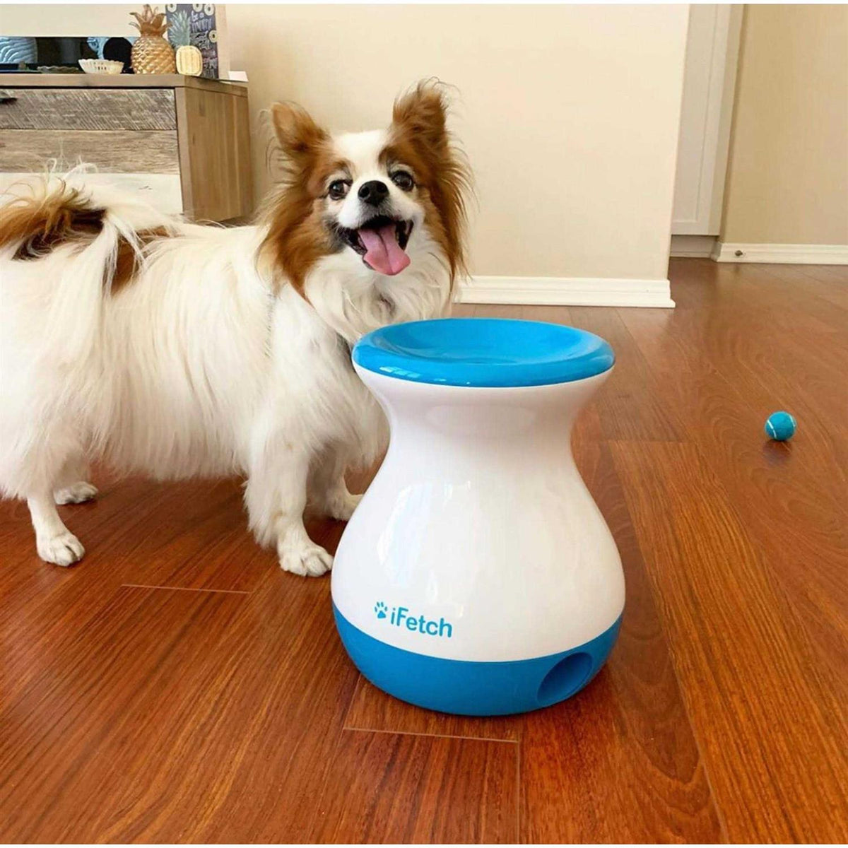 Dog Toy N9757