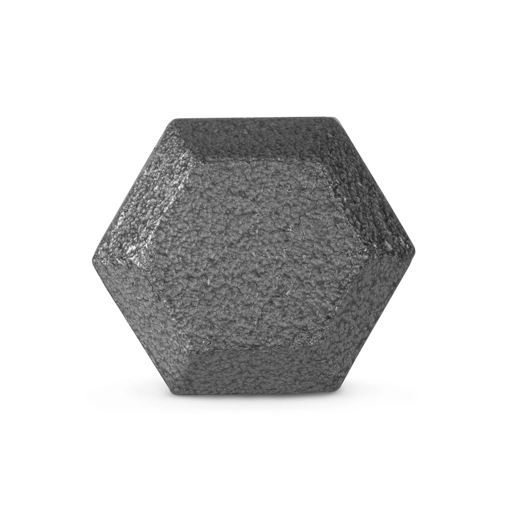 25lb Cast Iron Hex Dumbbell O69756