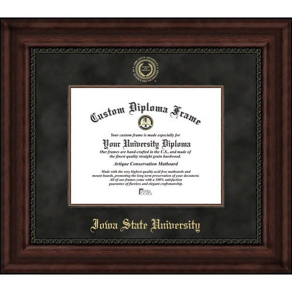 University of Illinois Executive Diploma Frame I564053