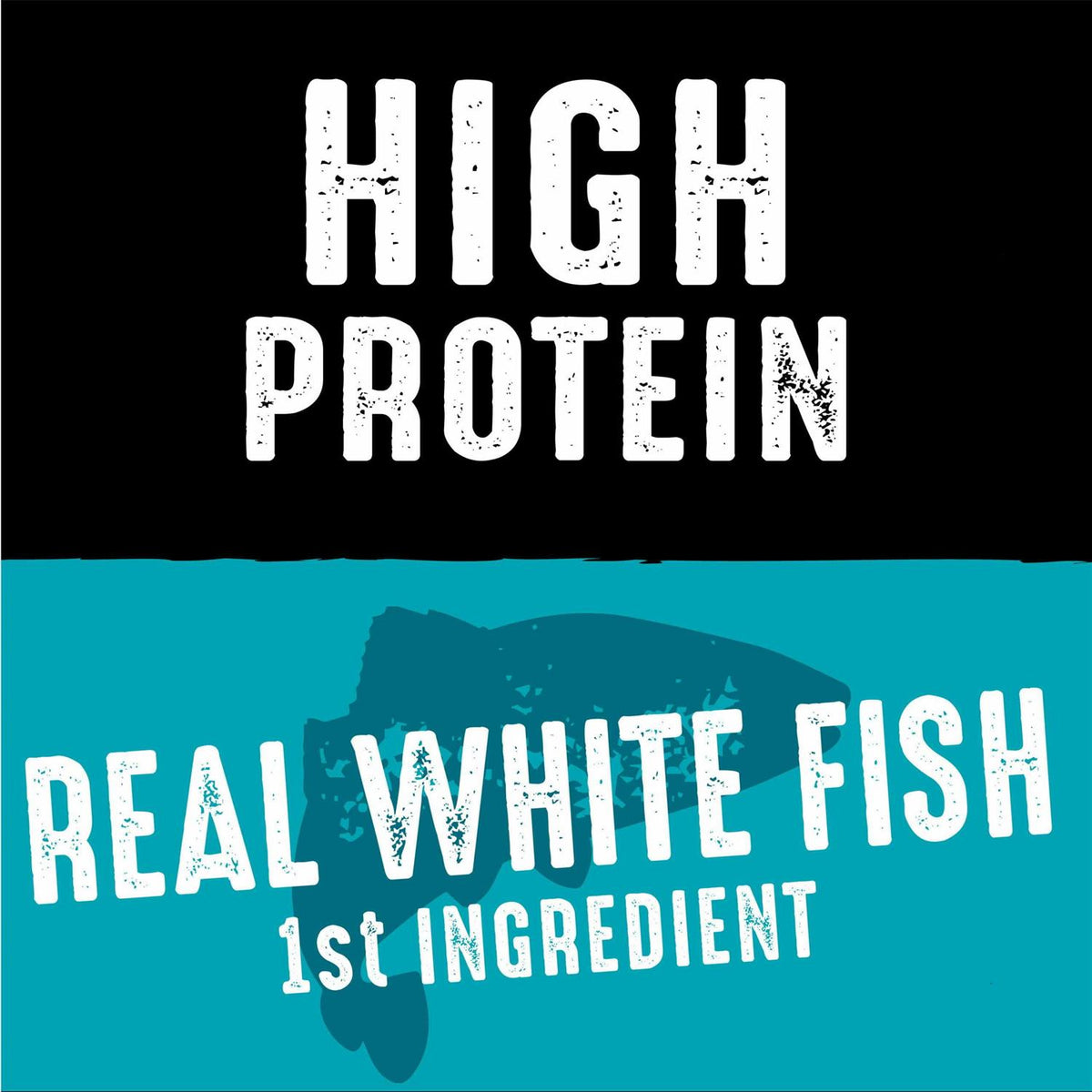 Grain Free Adult Dry Dog Food with Protein M260
