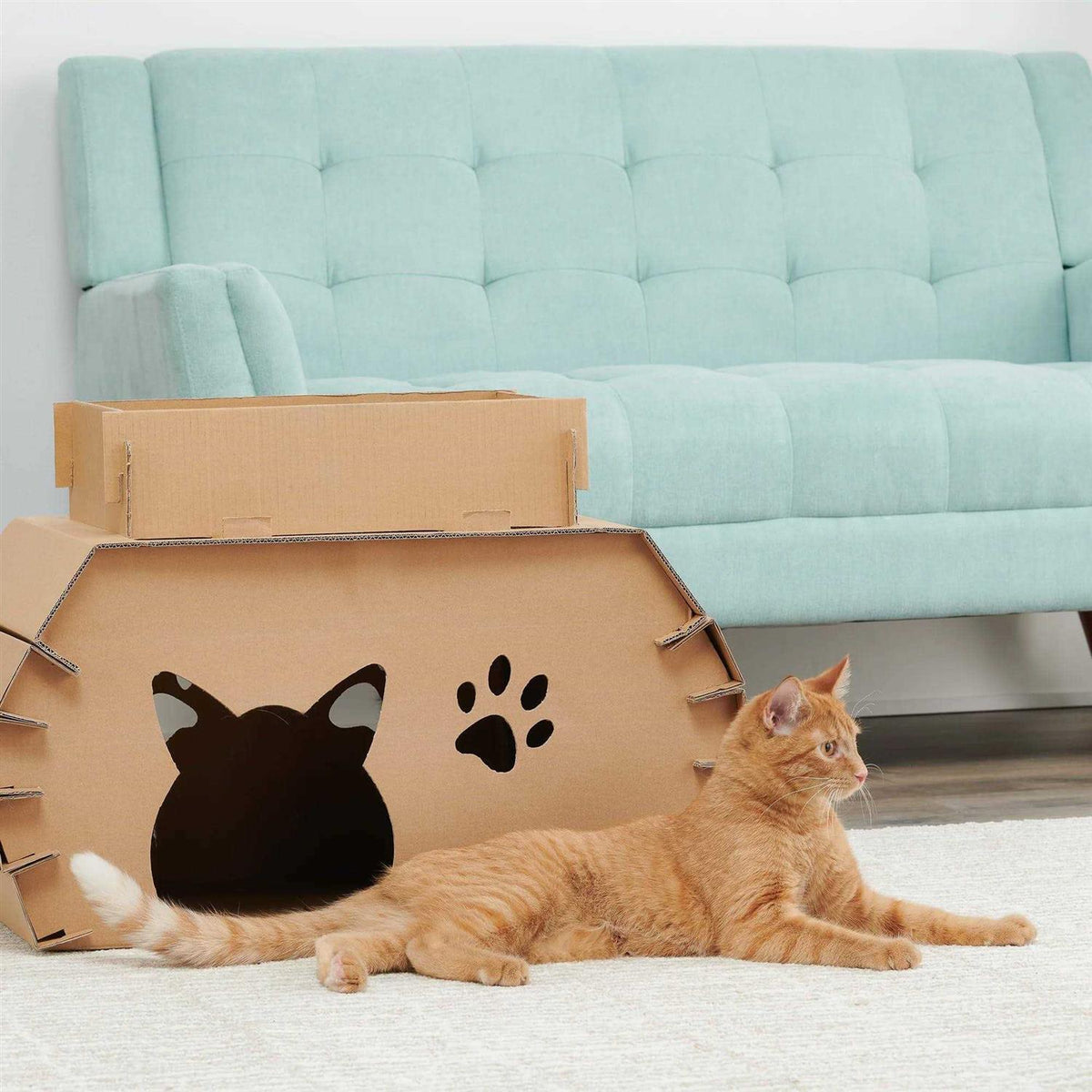 Cat Camper and Scratcher T801734