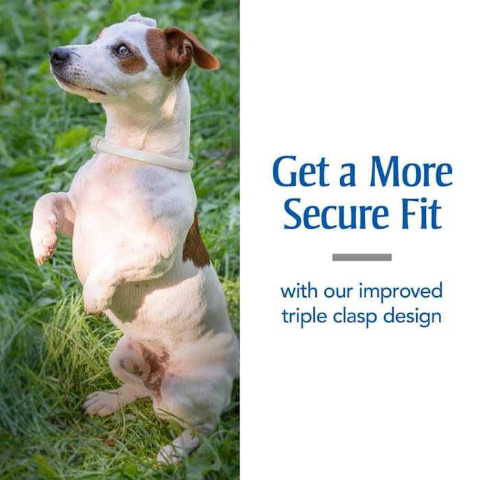 Flea & Tick Collar for Dogs S50598