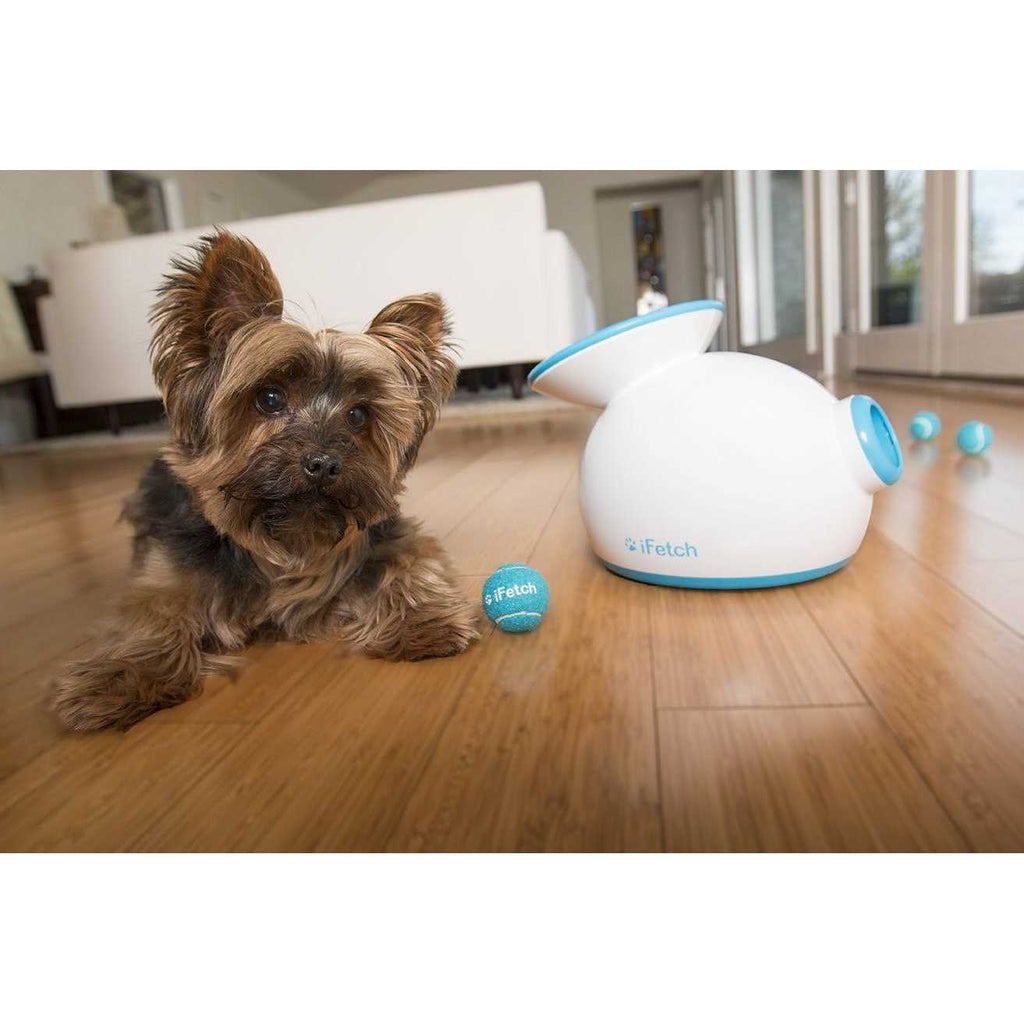 Interactive Dog Ball Launcher F8565