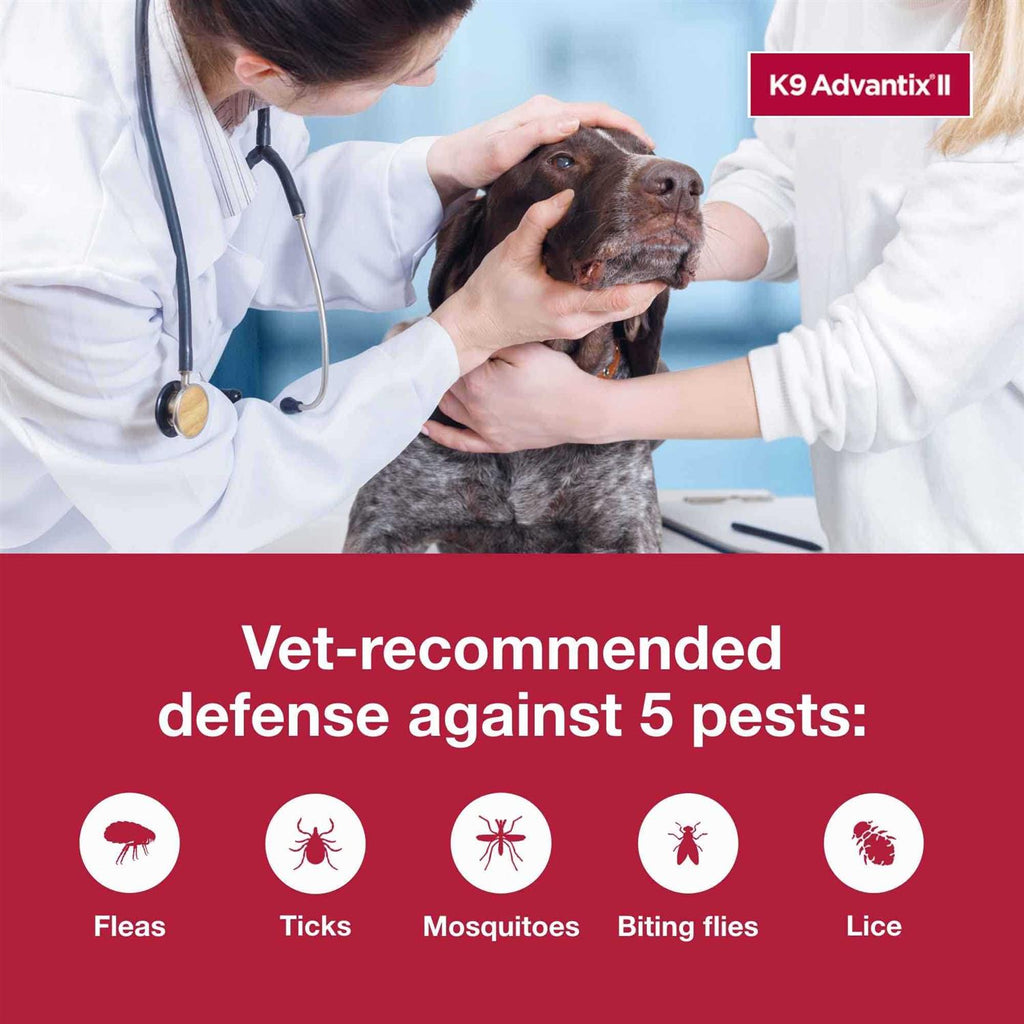 K9 Advantix II Extra Large Dogs A93567