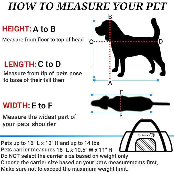 Airline Approved Soft Sided Pet Carrier G755723
